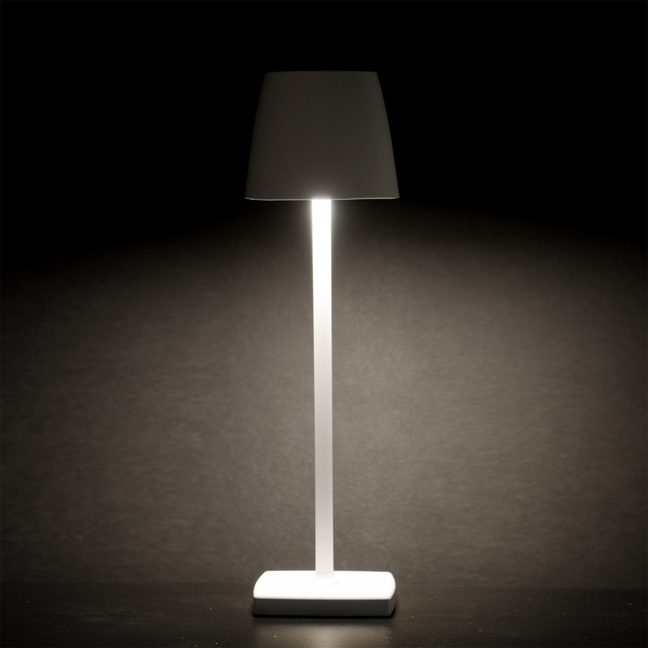 TO-10974_Lampada_tavolo_LED_Bianca_esterno_35W_gmaserigrafia_su_vetro_verona.jpg
